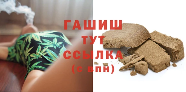 шишки Бородино